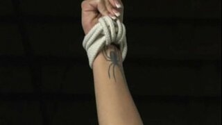 Гармония - Тренировкаос шлюха - фильм полнометражный